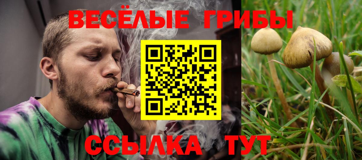 Галлюциногенные грибы Psilocybine cubensis  Вход с VPN  Псилоцибиновые грибы GOLDEN TEACHER  Ревда 