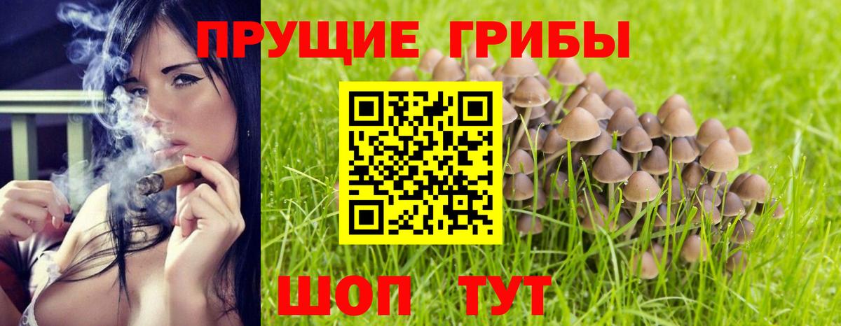 Псилоцибиновые грибы прущие грибы Ревда
